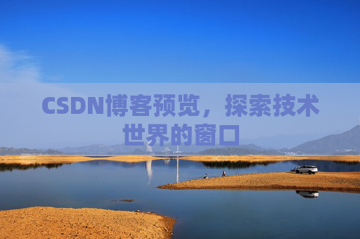 CSDN博客预览，探索技术世界的窗口